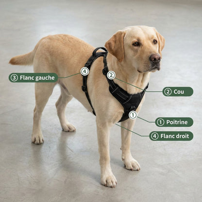 HARNAIS ANTI - TRACTION - Habioa